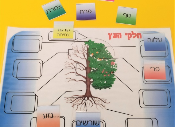 אמצעי המחשה - מרכז תכנון למידה והוראה
